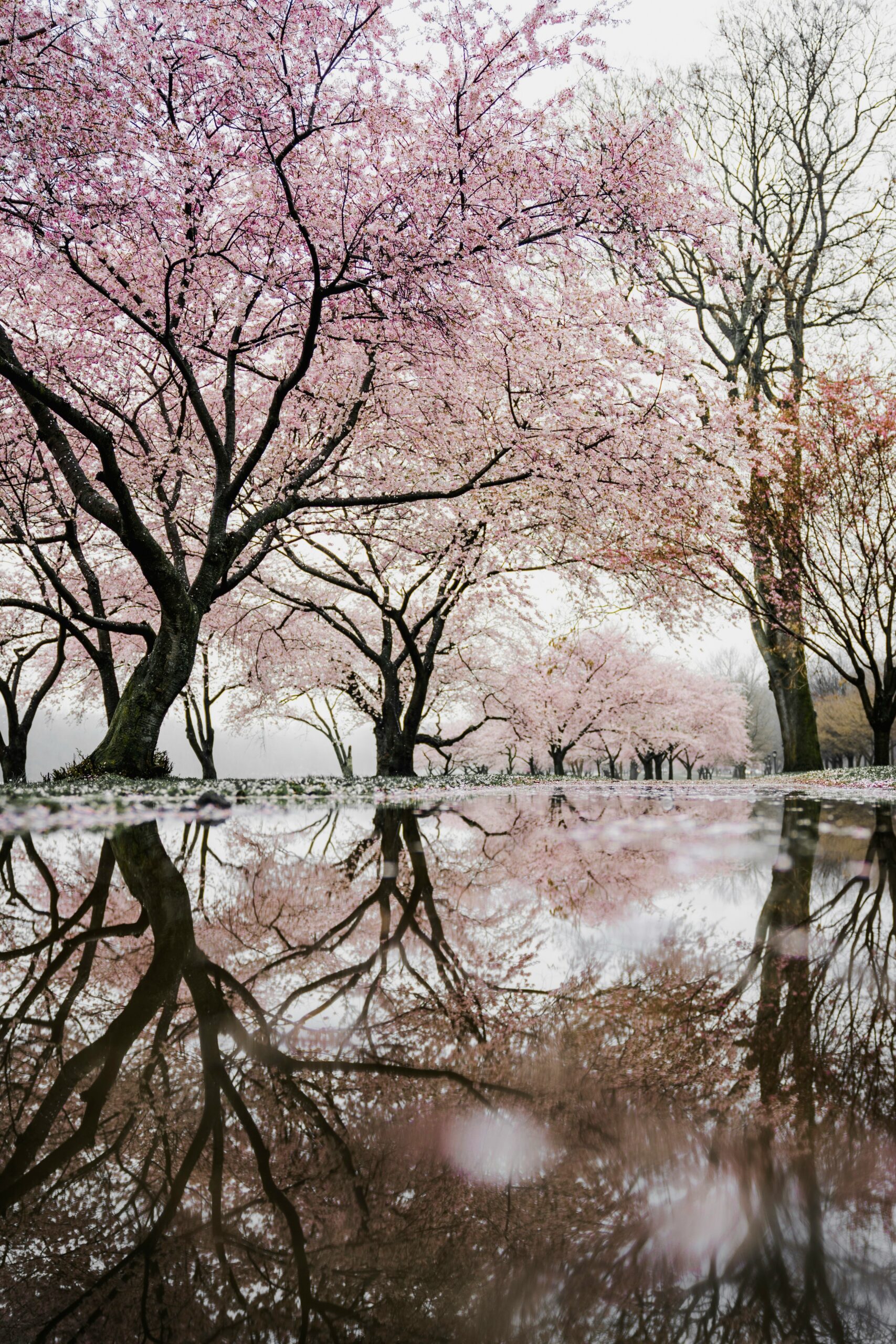 Immagine in evidenza di Hello World